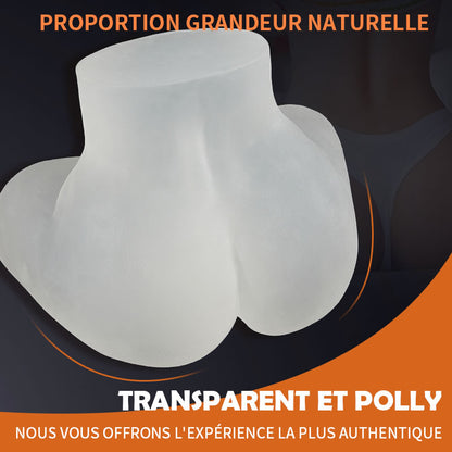 Fesse réaliste d'art transparente 2.55kg
